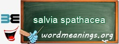 WordMeaning blackboard for salvia spathacea